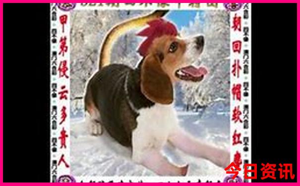 广东省潮汕旅游景点大全